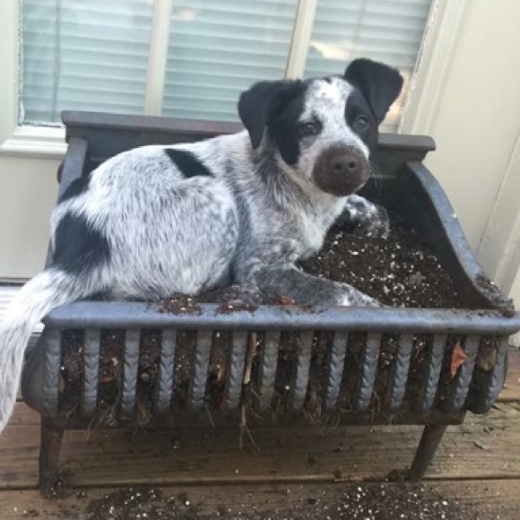 Meet your Posher, Lindsey - Picture 1 of 1